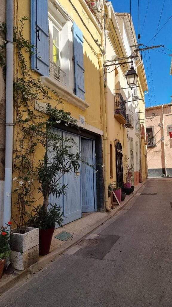 LOCATION MARSEILLAN AU LAURIER BLEU BROYER SYLVIE (13)